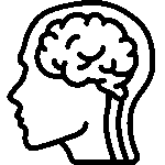 Central Nervous System